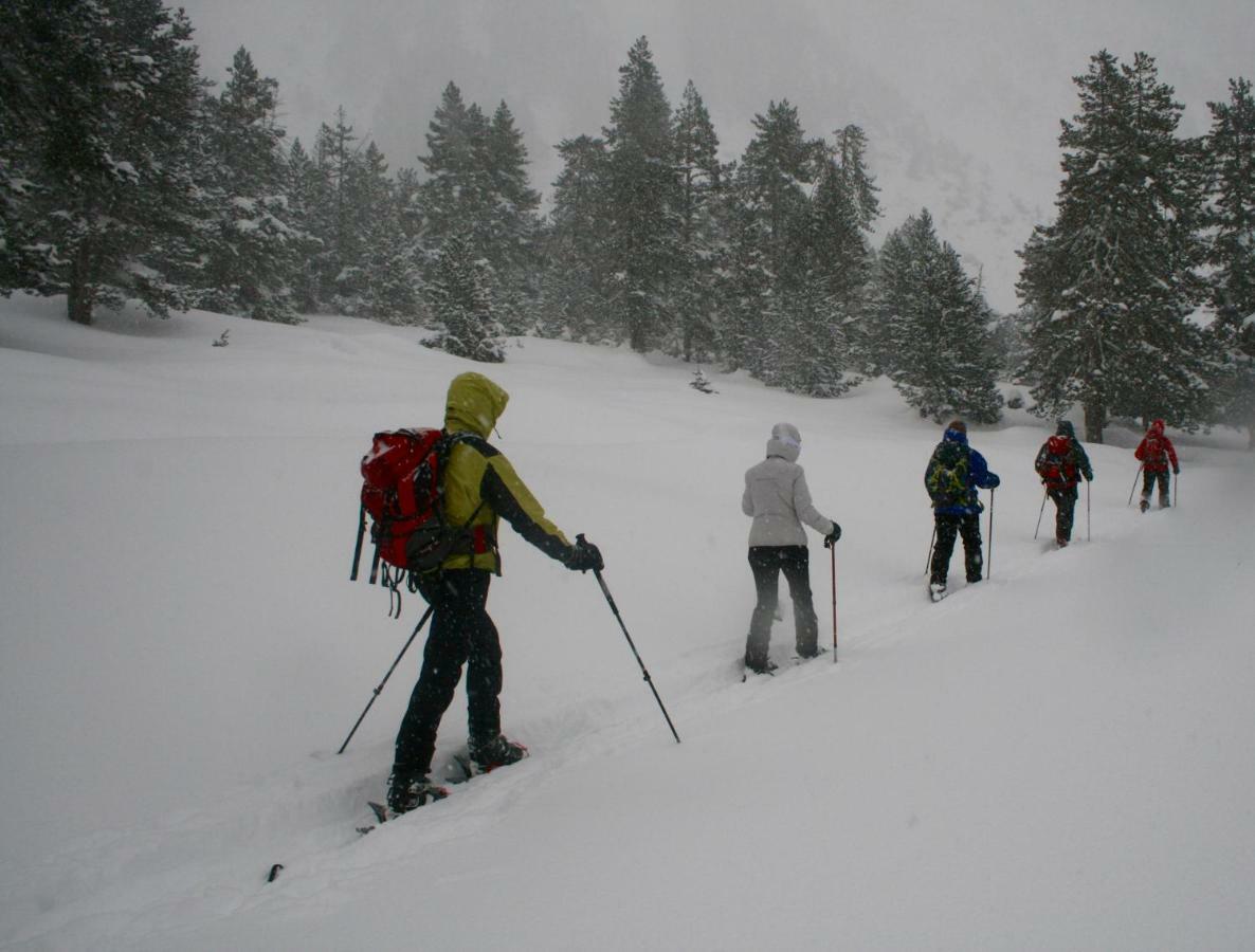 Amaroq Explorers Basecamp Tremp Luaran gambar